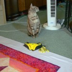 Quilt Blocking–A Short Tutorial