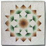 <em>Stars In My Hand</em> awarded 2nd place at NQA Show!